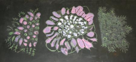 SGRAFITO